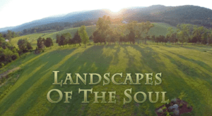 Screenshot of online series "Landscapes of the Soul"